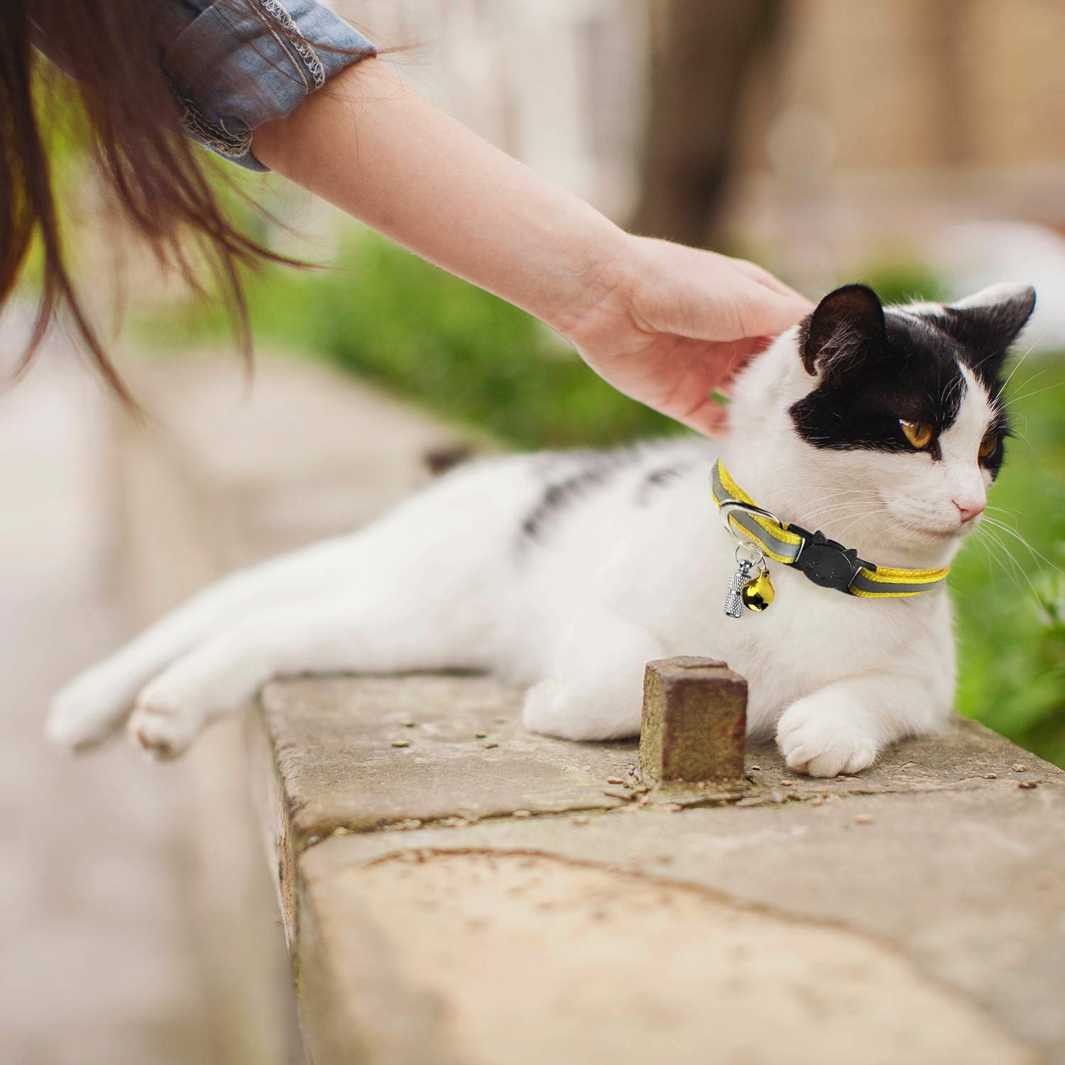 human cat collar with bell